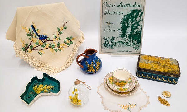 Tales of Gold: The Dawn Waterhouse Wattle Collection