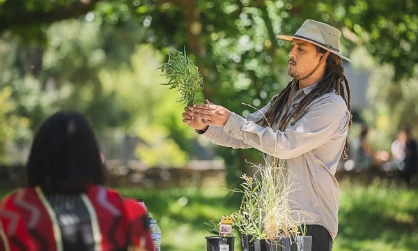 NAIDOC WEEK TALK: Indigenous Plants Use and Traditional Tools