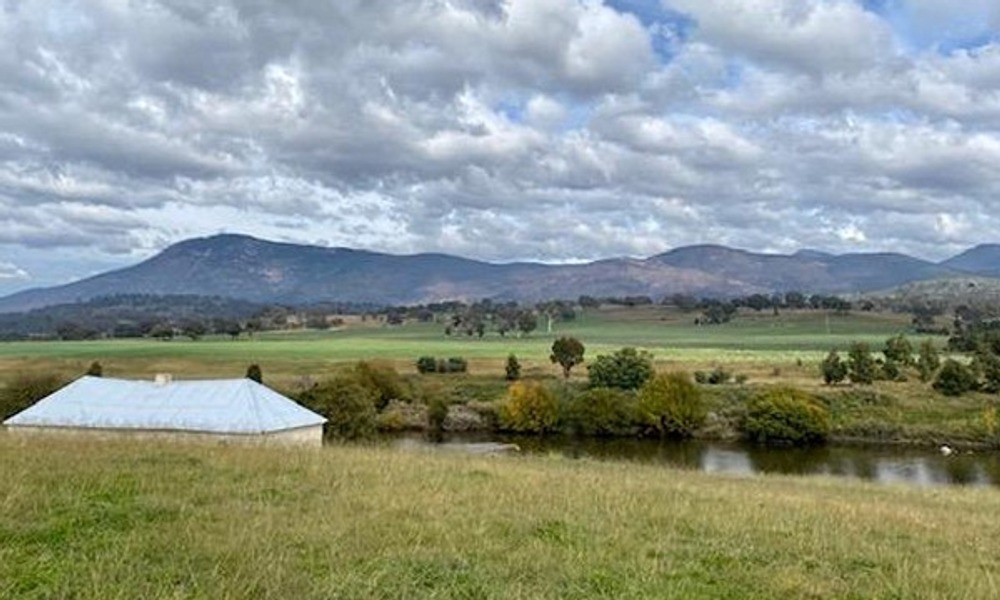 WALKING TOUR: Beyond the Farm Gate