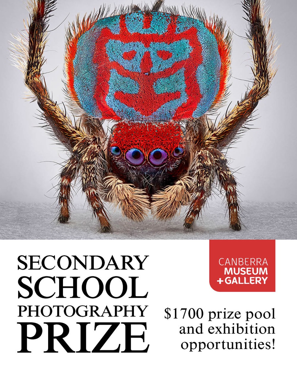 CMAG Student Photography Prize 2026