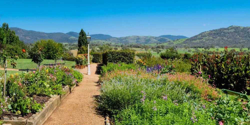 TOUR: Historic Lanyon Gardens | Floriade at Lanyon 2026