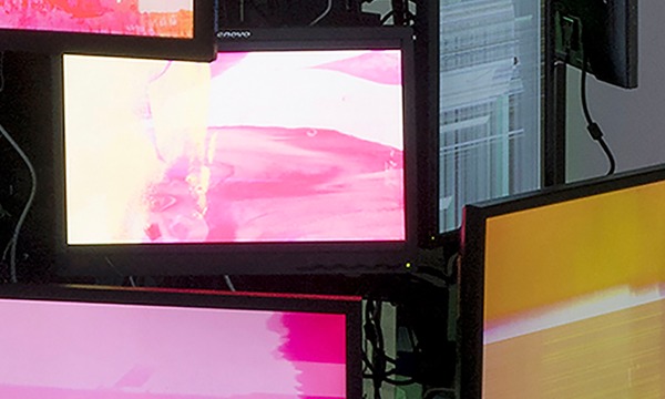 Nicci Haynes: RGB_.v2