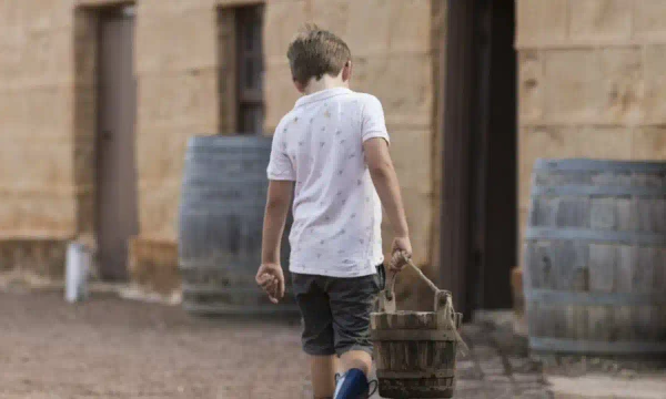 KIDS EXPERIENCE: A Day On The Farm | Turn Back Time 2026