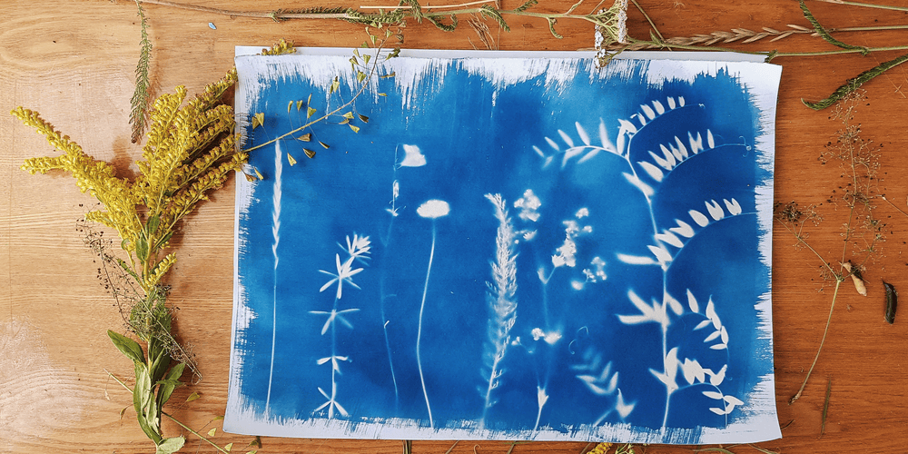 HOLIDAY WORKSHOP: Cyanotype Printmaking at Lanyon Homestead