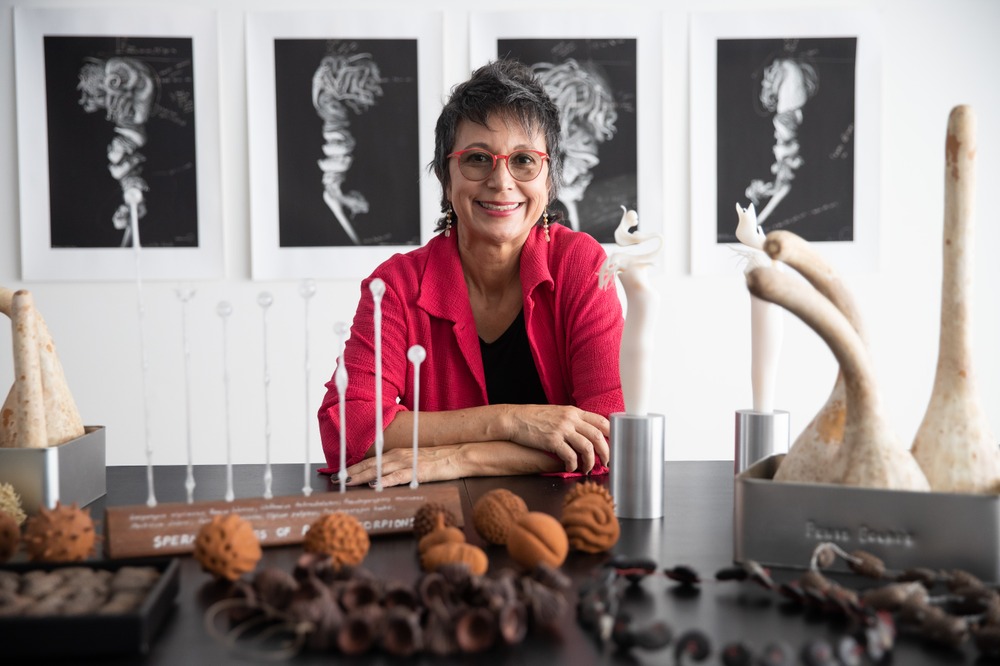 EXHIBITION OPENING: Spiders of Paradise with Maria Fernanda Cardoso