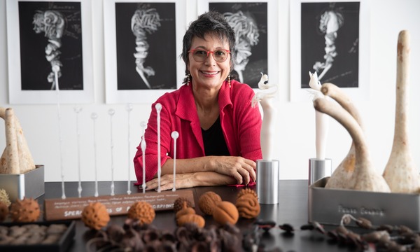 ARTIST TALK: Spiders of Paradise with Maria Fernanda Cardoso