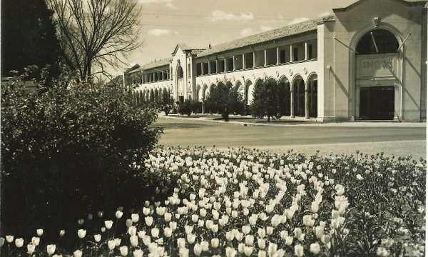 Help Us Celebrate 100 Years of Civic’s Sydney and Melbourne Buildings