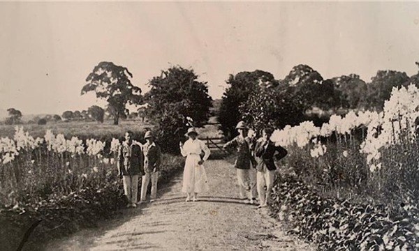 Rediscovering Lanyon’s Gardens and Grounds 