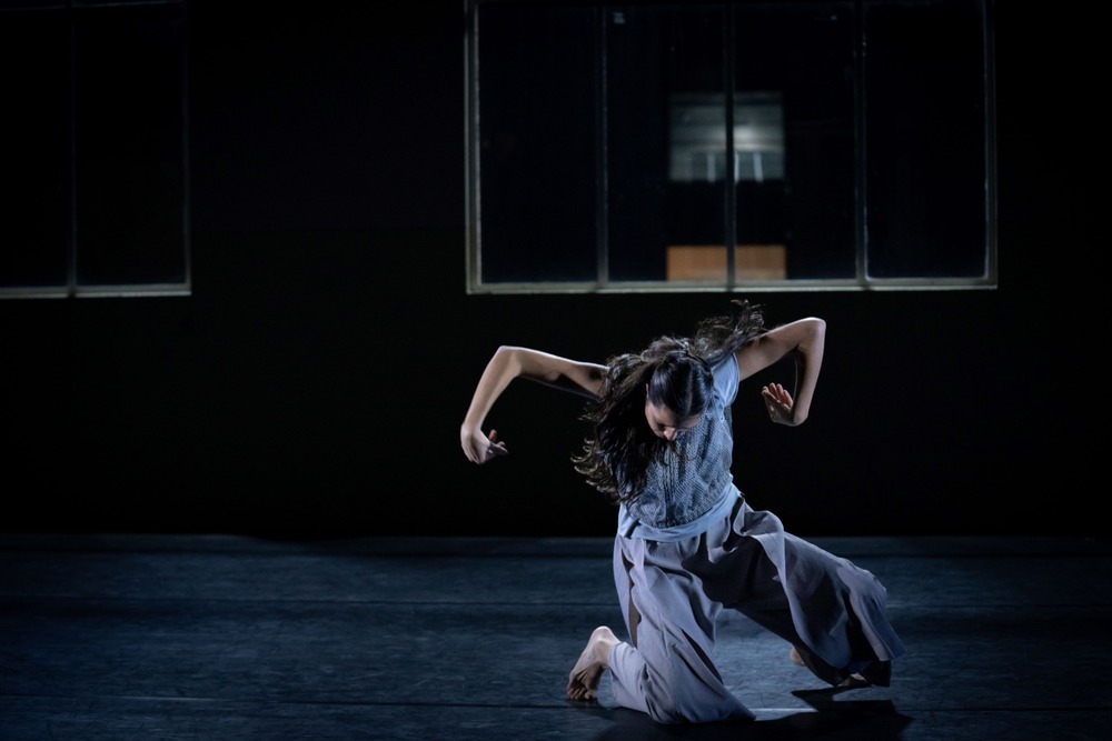 PERFORMANCE + WORKSHOP: Spiders of Paradise Movement Lab