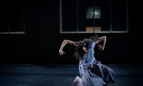 PERFORMANCE + WORKSHOP: Spiders of Paradise Movement Lab
