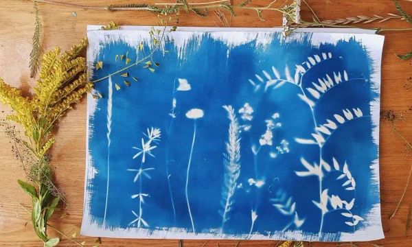 KIDS WORKSHOP: Wooden Cyanotype Bookmark | Floriade at Lanyon 2026
