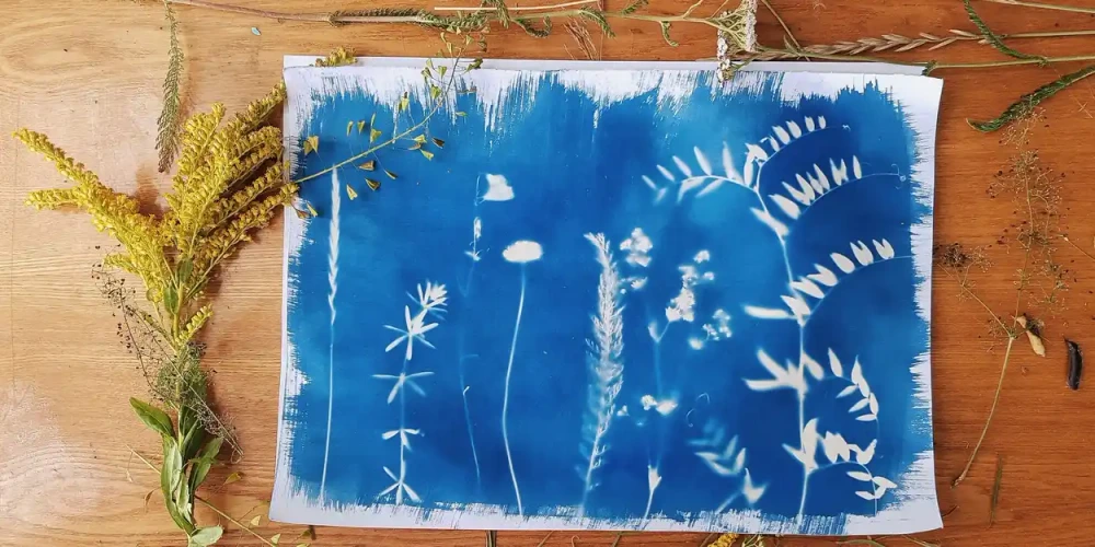 KIDS WORKSHOP: Wooden Cyanotype Bookmark | Floriade at Lanyon 2026