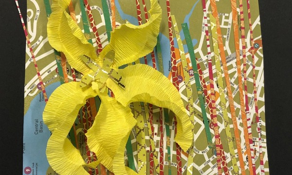 FLORIADE MAKERSPACE: Make a Goodenia Pinnatifida 'Scrambled Eggs' Flower Collage
